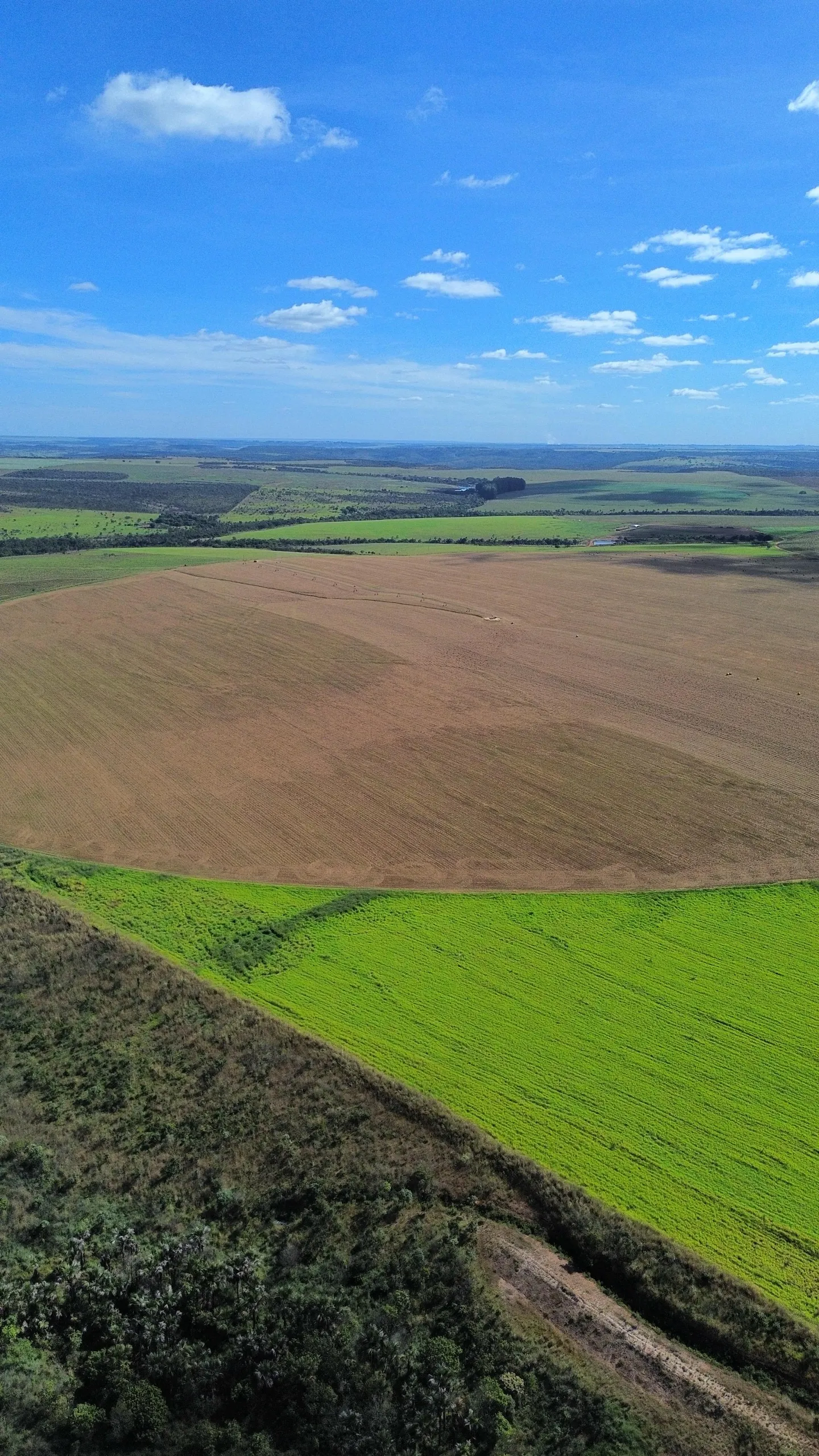 Fazenda à venda de 1.150 ha em Luziânia, GO, Brasil