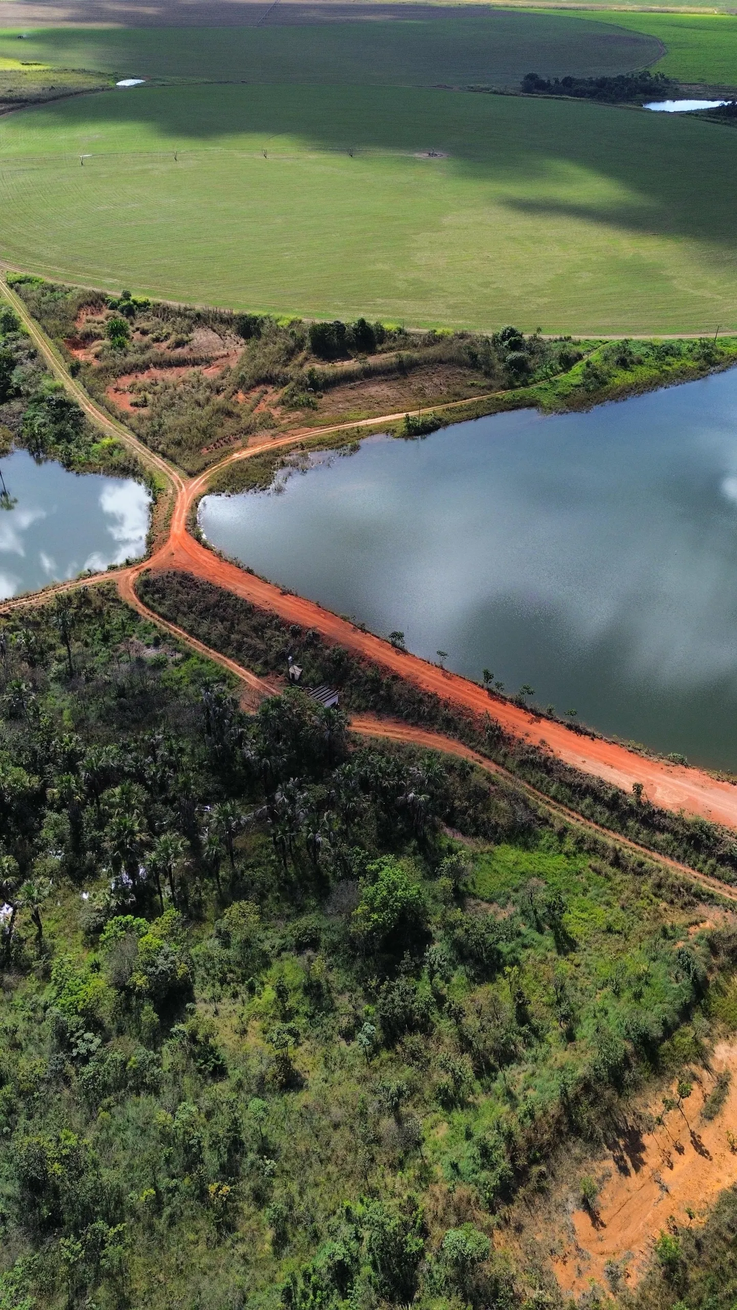 Fazenda à venda de 1.150 ha em Luziânia, GO, Brasil