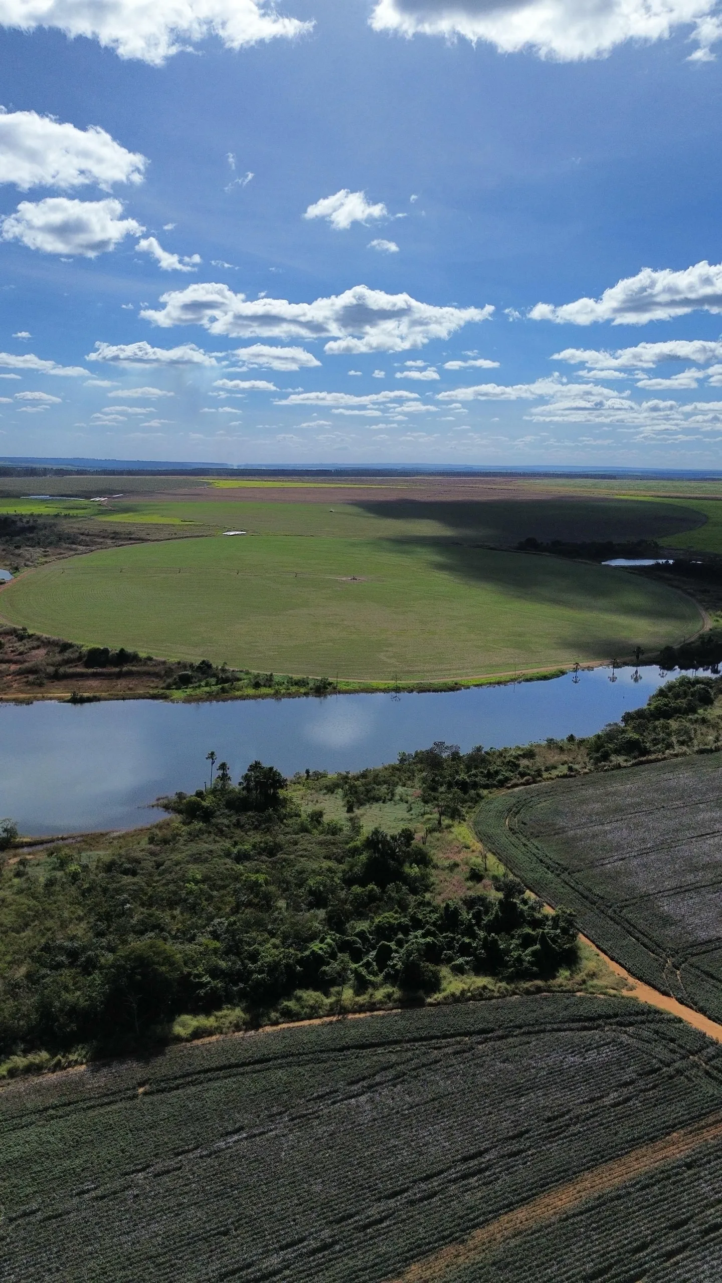 Fazenda à venda de 1.150 ha em Luziânia, GO, Brasil