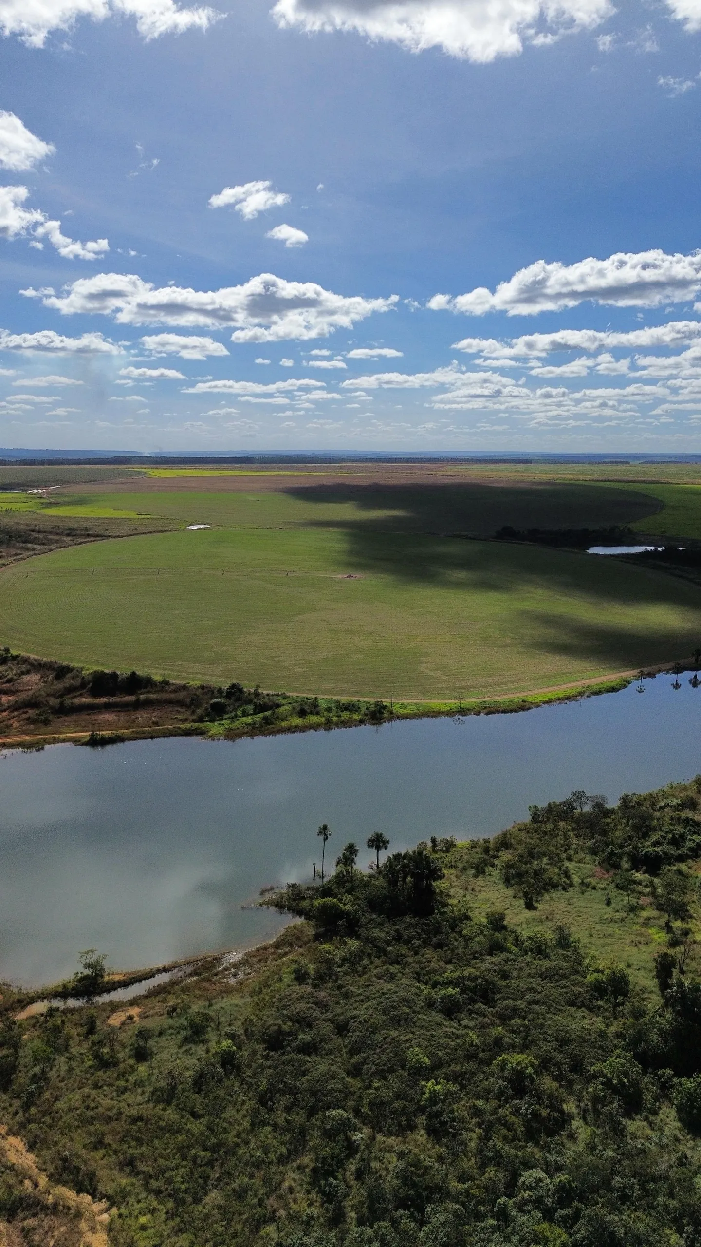 Fazenda à venda de 1.150 ha em Luziânia, GO, Brasil
