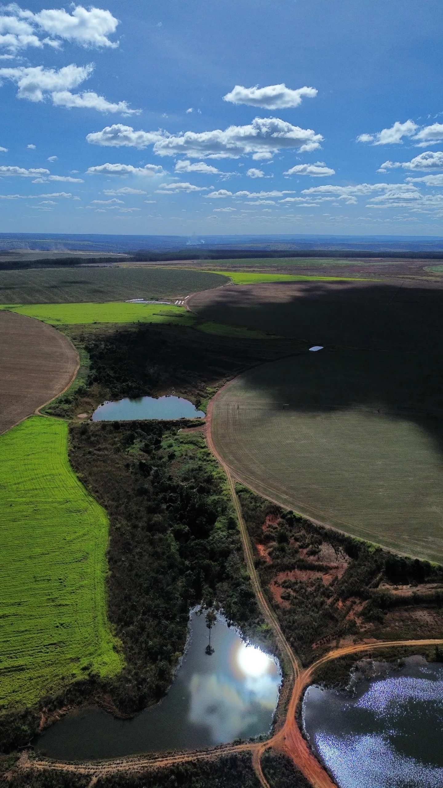 Fazenda à venda de 1.150 ha em Luziânia, GO, Brasil