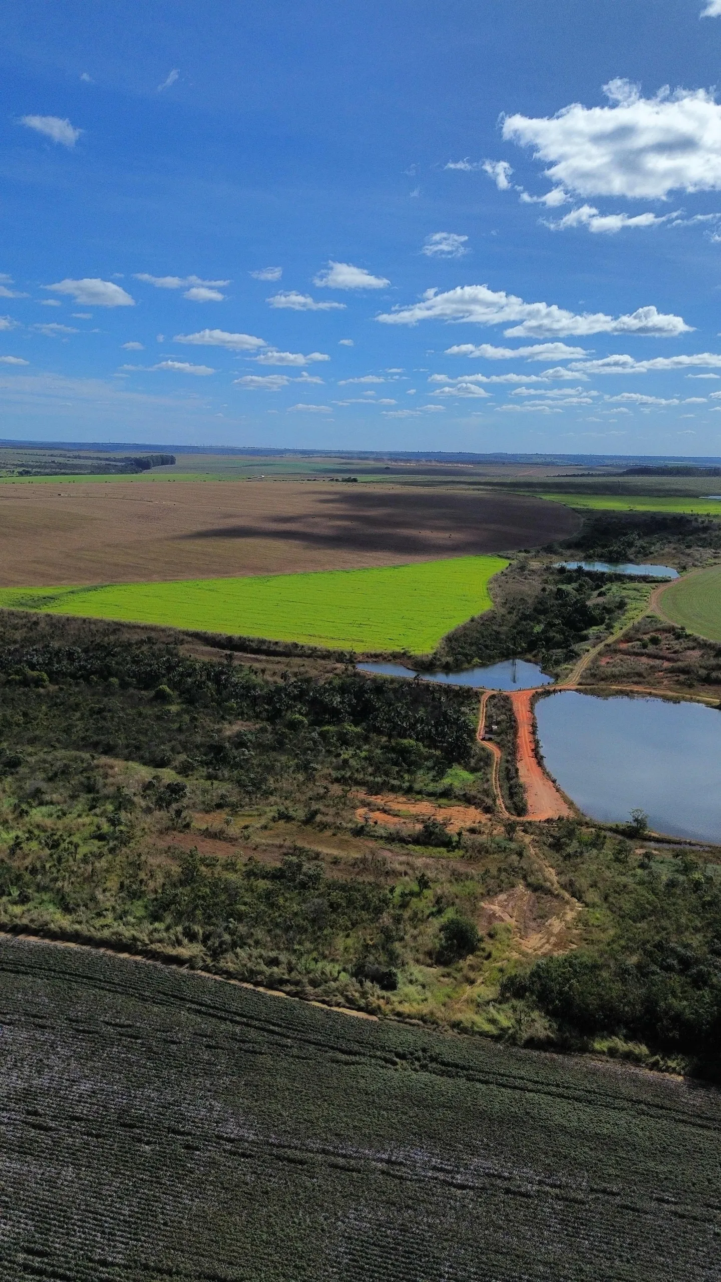 Fazenda à venda de 1.150 ha em Luziânia, GO, Brasil