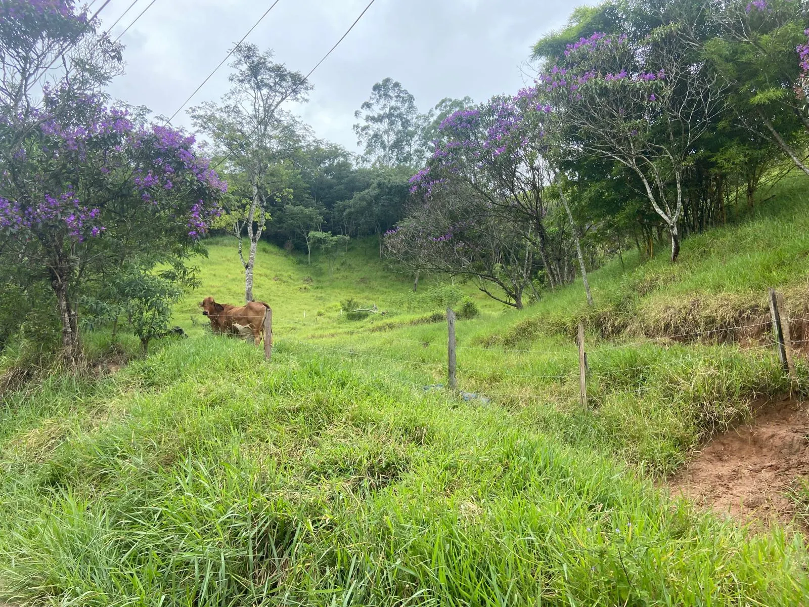 Plot for sale of 4 acres in São José dos Campos, SP, Brazil