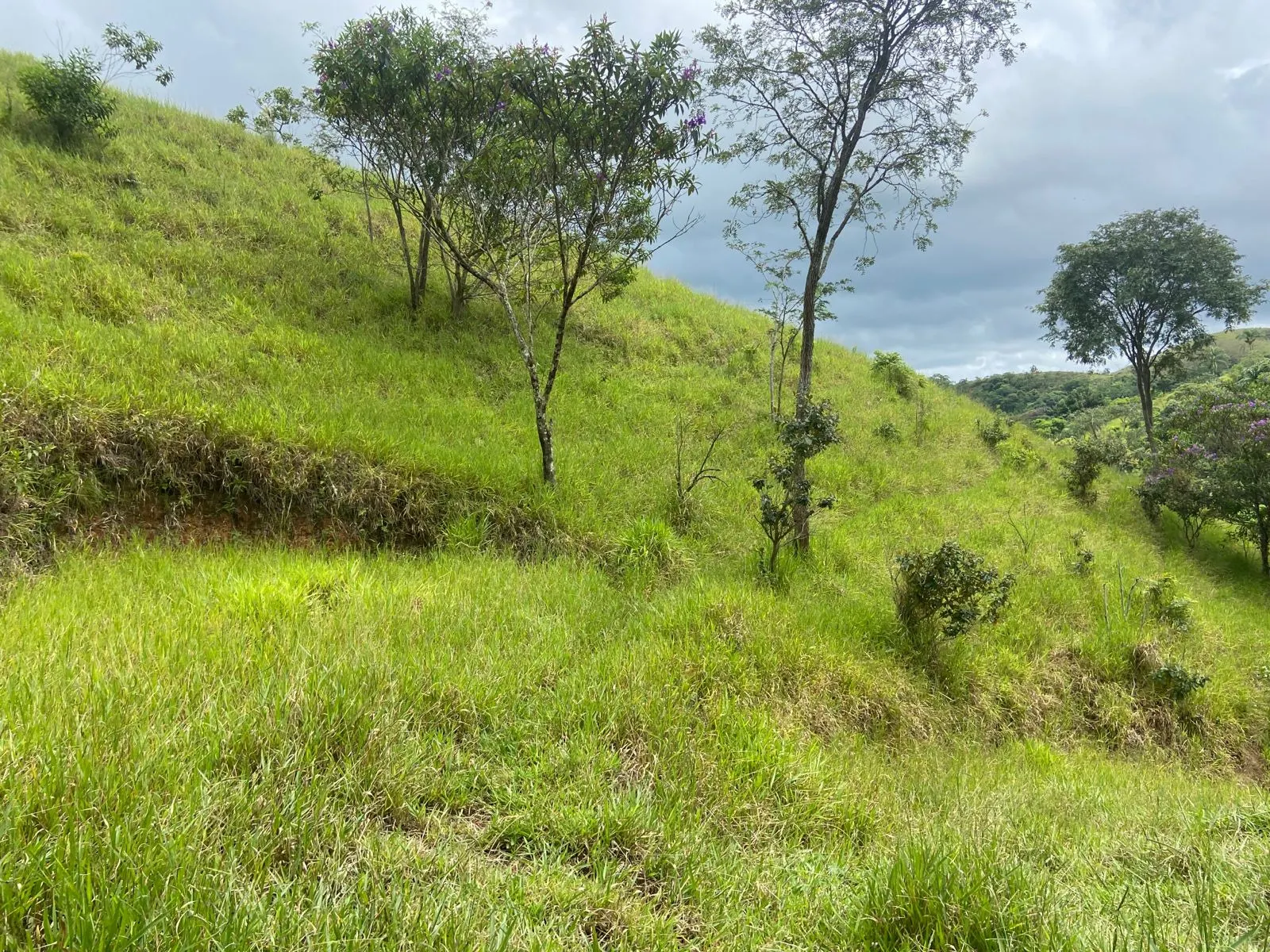 Plot for sale of 4 acres in São José dos Campos, SP, Brazil