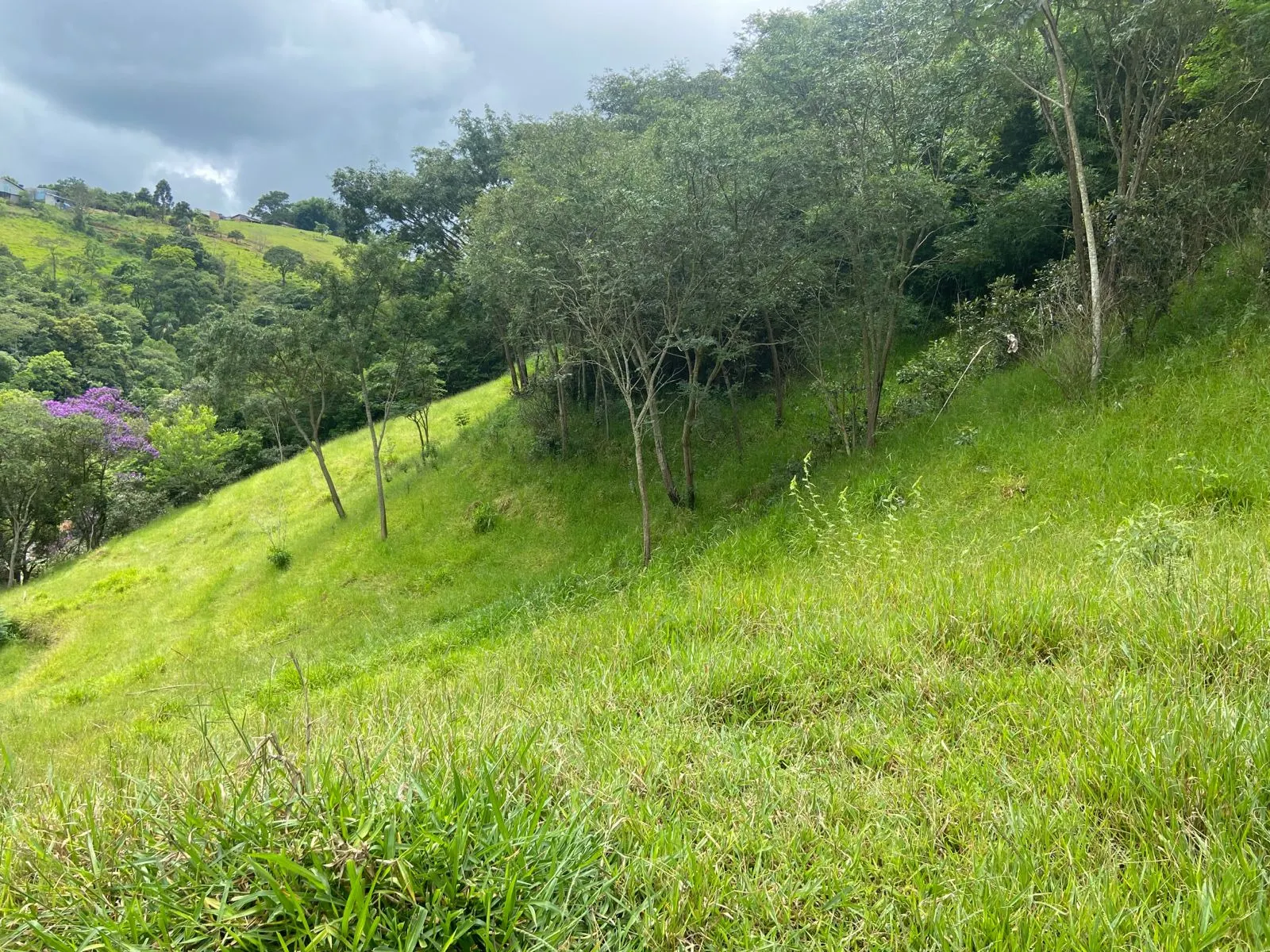 Plot for sale of 4 acres in São José dos Campos, SP, Brazil
