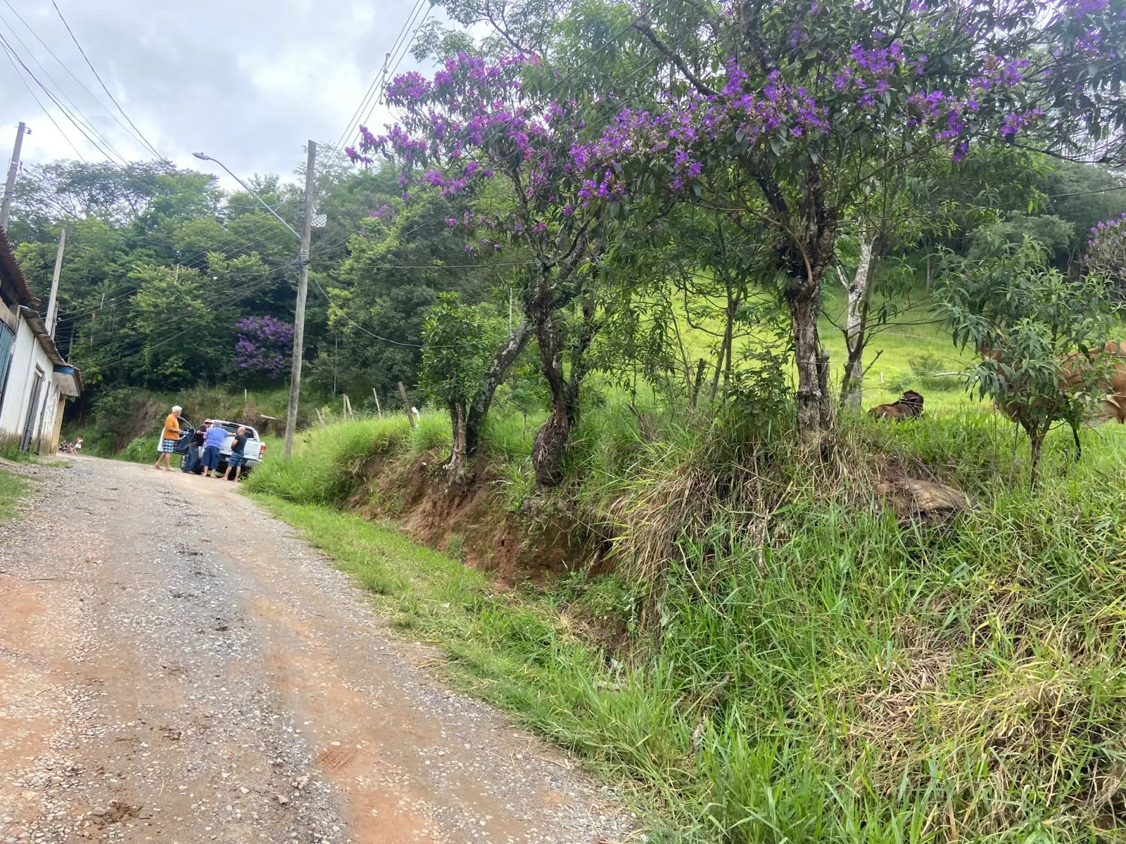 Plot for sale of 4 acres in São José dos Campos, SP, Brazil