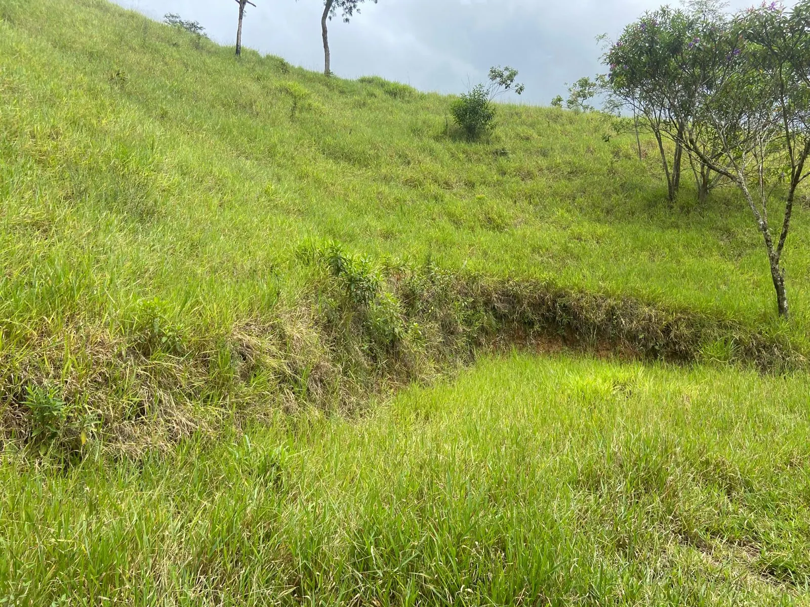Plot for sale of 4 acres in São José dos Campos, SP, Brazil