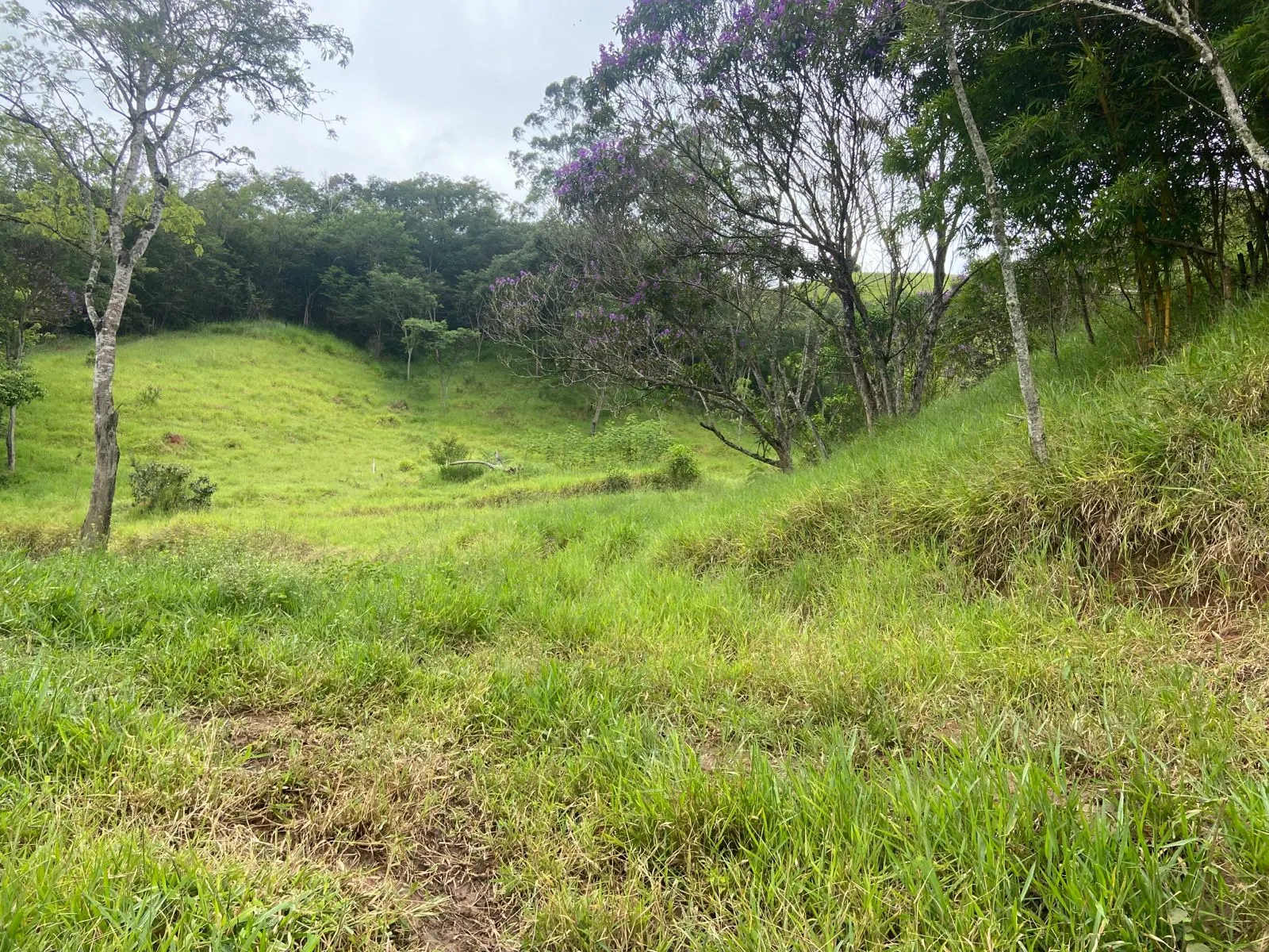 Plot for sale of 4 acres in São José dos Campos, SP, Brazil