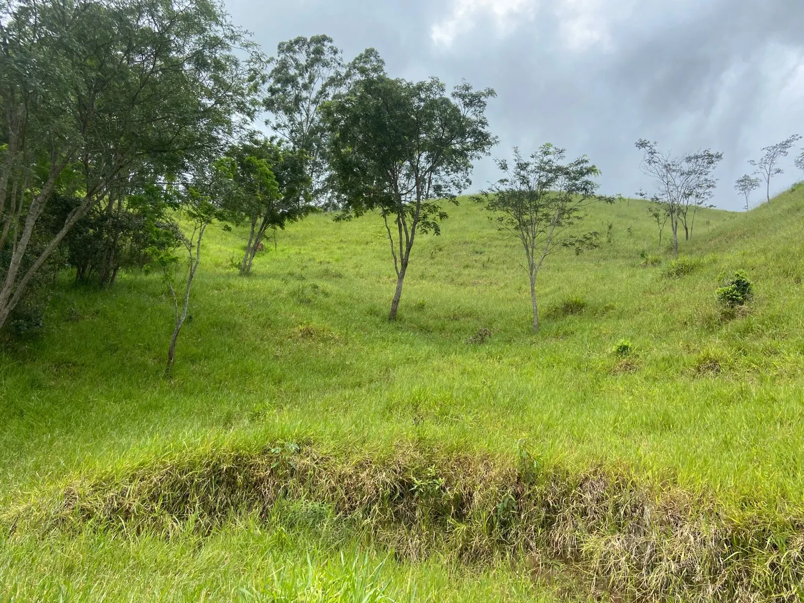 Terreno à venda de 2 ha em São José dos Campos, SP, Brasil