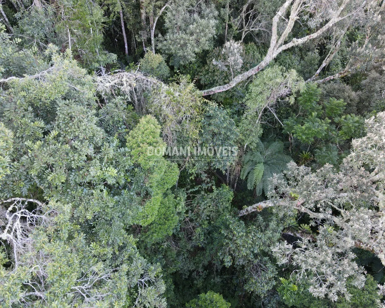 Terreno à venda de 1.110 m² em Campos do Jordão, SP, Brasil