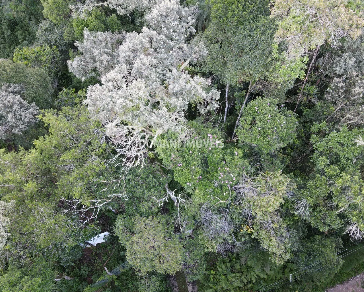 Terreno à venda de 1.110 m² em Campos do Jordão, SP, Brasil
