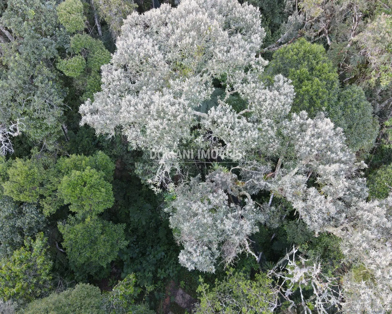 Terreno à venda de 1.110 m² em Campos do Jordão, SP, Brasil