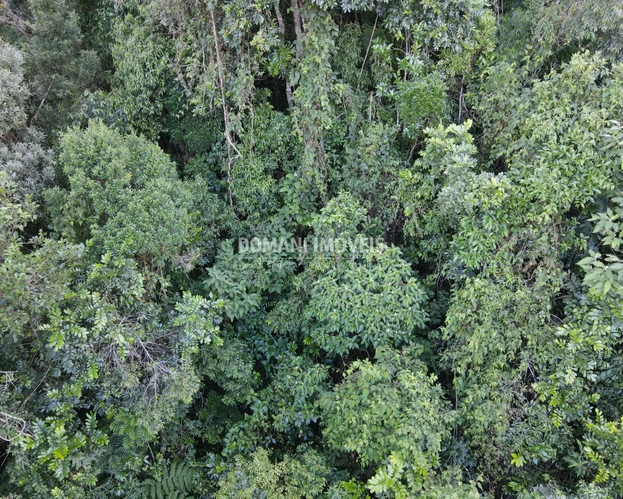 Terreno à venda de 1.110 m² em Campos do Jordão, SP, Brasil