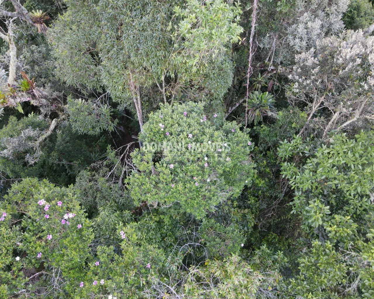 Terreno à venda de 1.110 m² em Campos do Jordão, SP, Brasil
