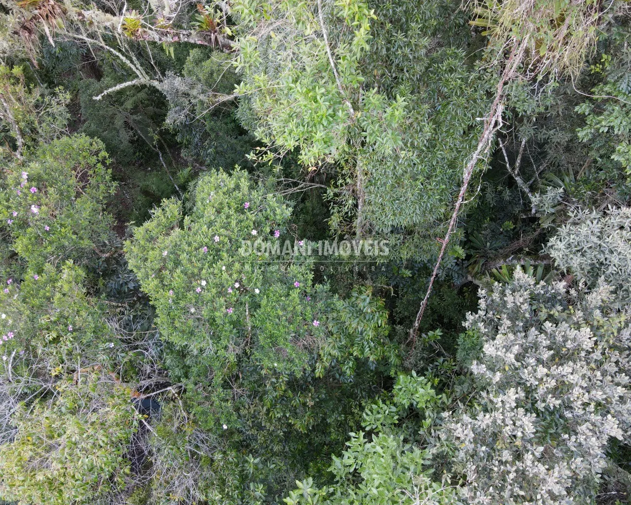 Terreno à venda de 1.110 m² em Campos do Jordão, SP, Brasil