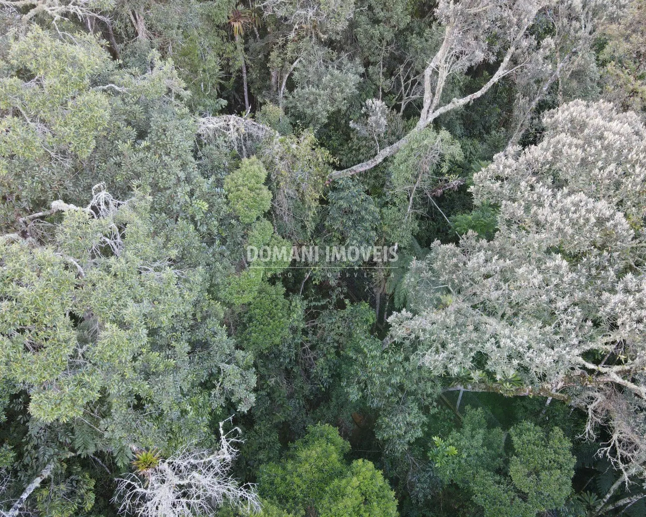 Terreno à venda de 1.110 m² em Campos do Jordão, SP, Brasil