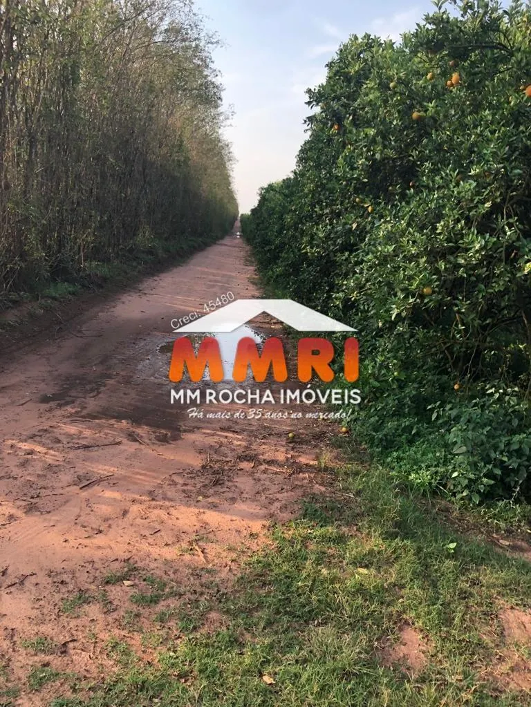 Fazenda à venda de 953 ha em Itaquaquecetuba, SP, Brasil