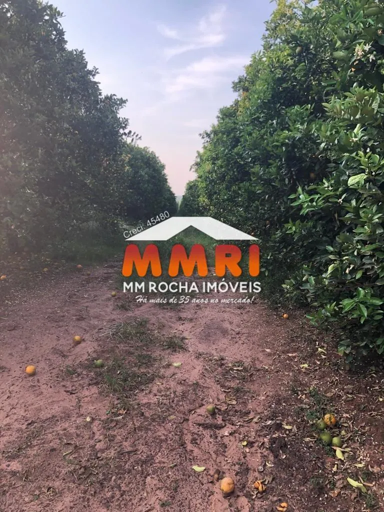 Fazenda à venda de 953 ha em Itaquaquecetuba, SP, Brasil