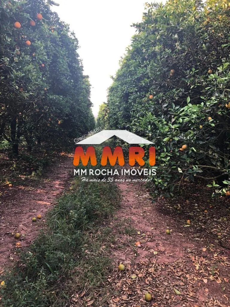 Fazenda à venda de 953 ha em Itaquaquecetuba, SP, Brasil