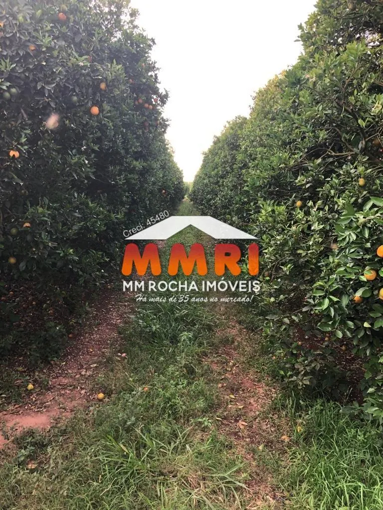 Fazenda à venda de 953 ha em Itaquaquecetuba, SP, Brasil