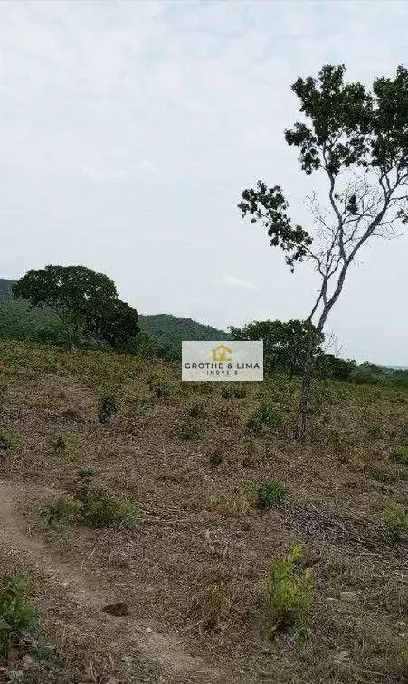 Fazenda à venda de 11.664 ha em Lizarda, TO, Brasil