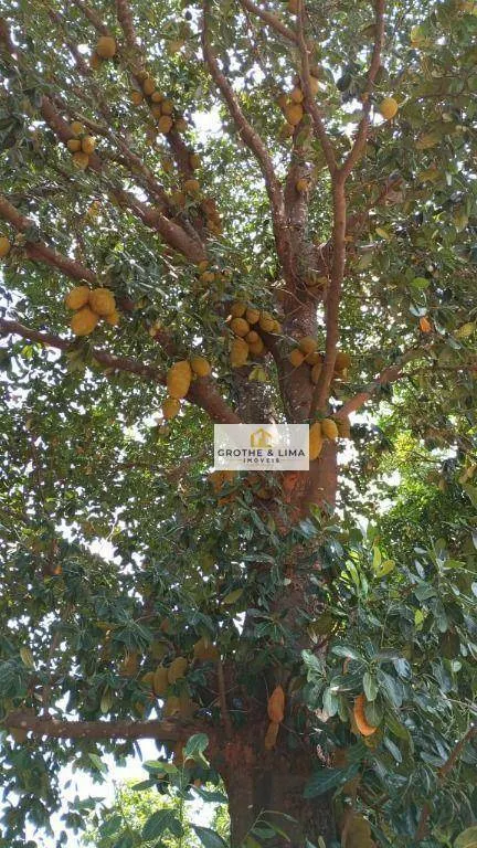 Fazenda à venda de 11.664 ha em Lizarda, TO, Brasil