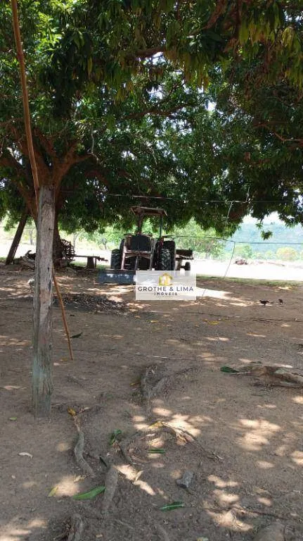 Fazenda à venda de 11.664 ha em Lizarda, TO, Brasil