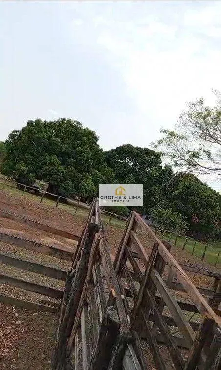 Fazenda à venda de 11.664 ha em Lizarda, TO, Brasil