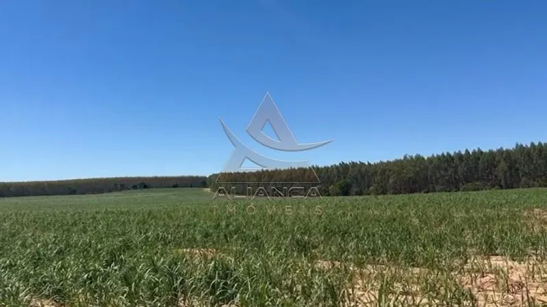 Sítio à venda de 44 ha em Tambaú, SP, Brasil