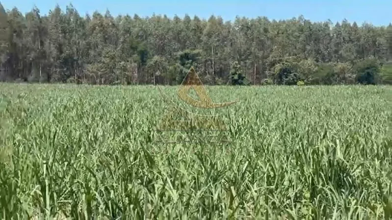 Sítio à venda de 44 ha em Tambaú, SP, Brasil