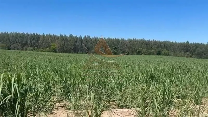 Sítio à venda de 44 ha em Tambaú, SP, Brasil