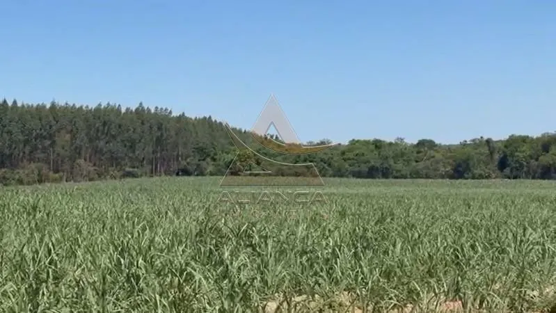 Sítio à venda de 44 ha em Tambaú, SP, Brasil