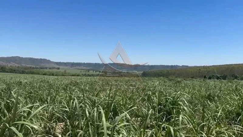 Sítio à venda de 44 ha em Tambaú, SP, Brasil