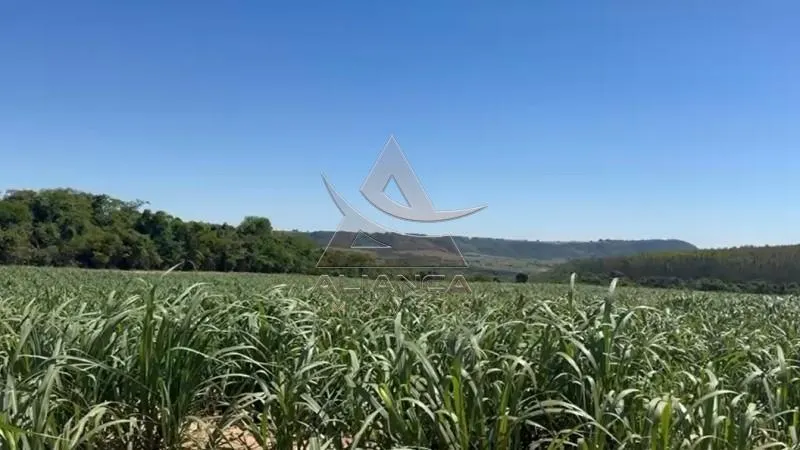 Sítio à venda de 44 ha em Tambaú, SP, Brasil