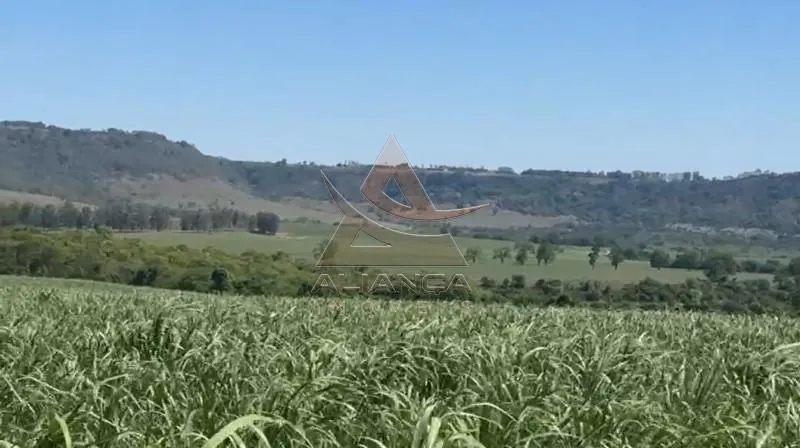 Sítio à venda de 44 ha em Tambaú, SP, Brasil