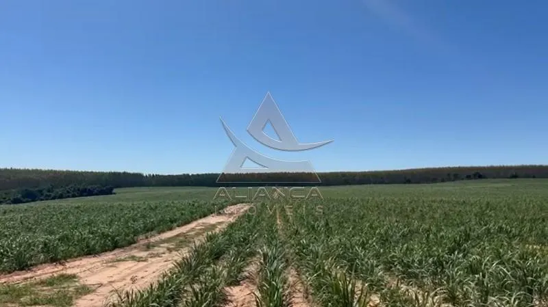 Sítio à venda de 44 ha em Tambaú, SP, Brasil