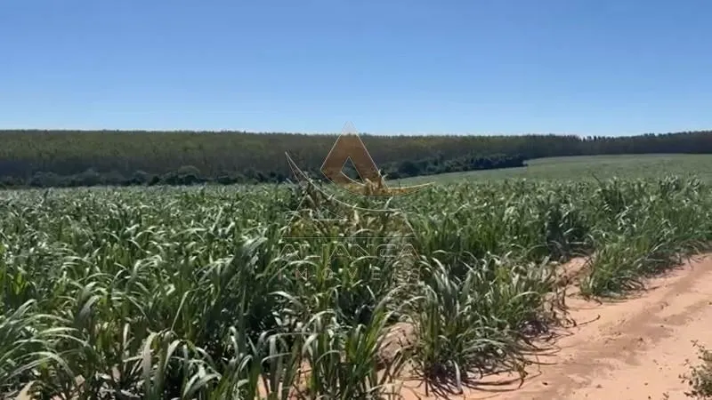 Sítio à venda de 44 ha em Tambaú, SP, Brasil