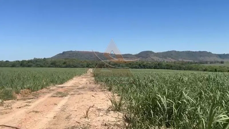 Sítio à venda de 44 ha em Tambaú, SP, Brasil