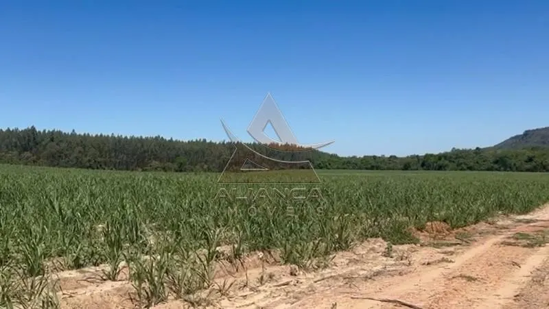 Sítio à venda de 44 ha em Tambaú, SP, Brasil