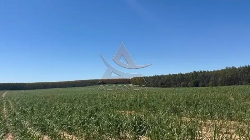Sítio à venda de 44 ha em Tambaú, SP, Brasil