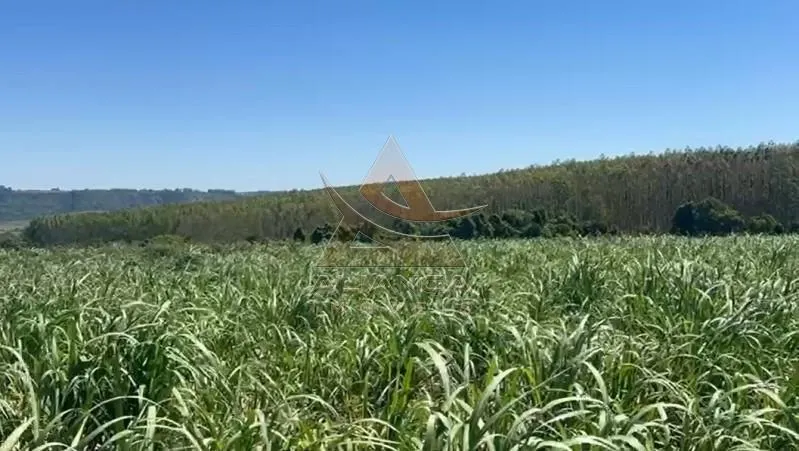 Sítio à venda de 44 ha em Tambaú, SP, Brasil