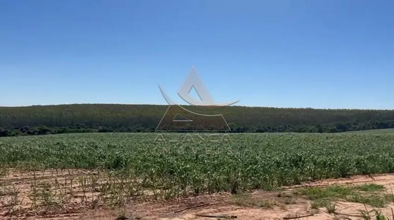 Sítio à venda de 44 ha em Tambaú, SP, Brasil