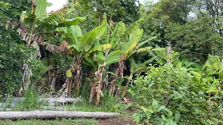 Country home for sale of 3 acres in Rolante, RS, Brazil