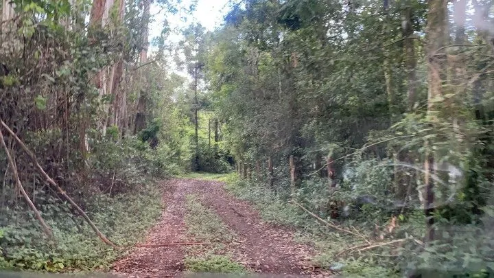 Country home for sale of 3 acres in Rolante, RS, Brazil