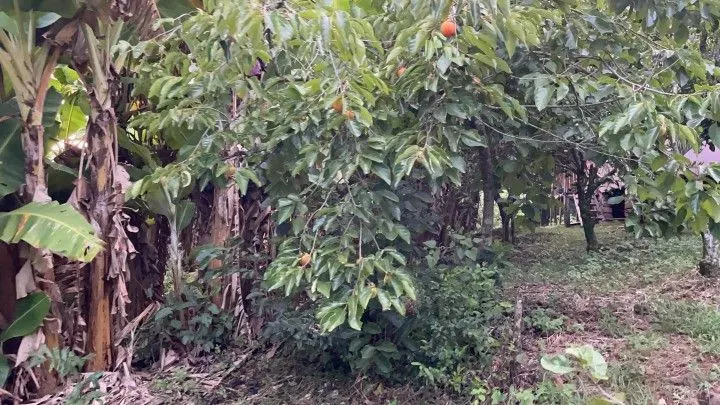 Country home for sale of 3 acres in Rolante, RS, Brazil