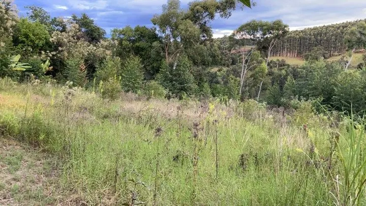 Country home for sale of 3 acres in Rolante, RS, Brazil