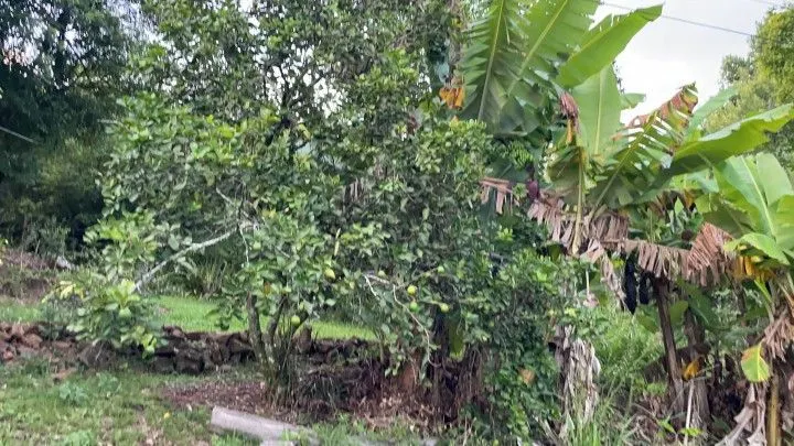 Country home for sale of 3 acres in Rolante, RS, Brazil