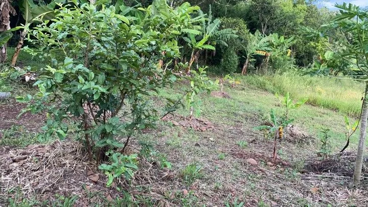 Country home for sale of 3 acres in Rolante, RS, Brazil
