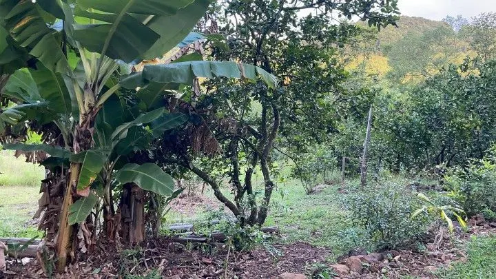 Country home for sale of 3 acres in Rolante, RS, Brazil