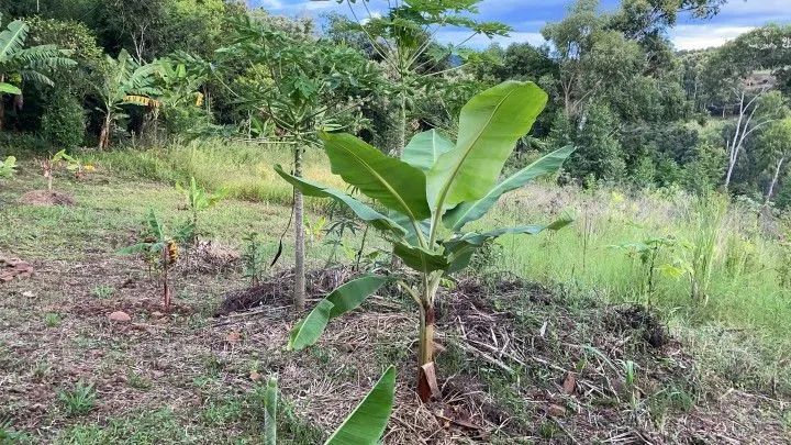 Country home for sale of 3 acres in Rolante, RS, Brazil